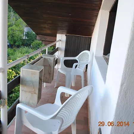Гостевой дом Palma 3*