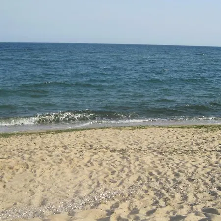 Palma Goudstrand